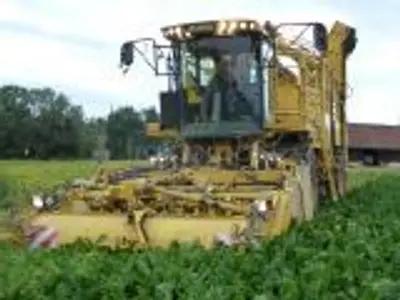 Свеклоуборочный комбайн ROPA Eurotiger Б/У с доставкой в Саратов