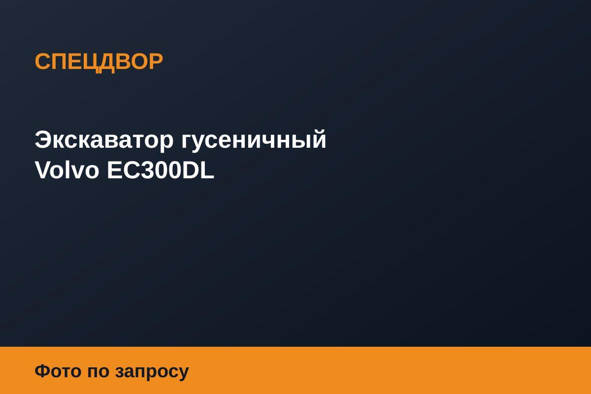 Экскаватор гусеничный Volvo EC300DL