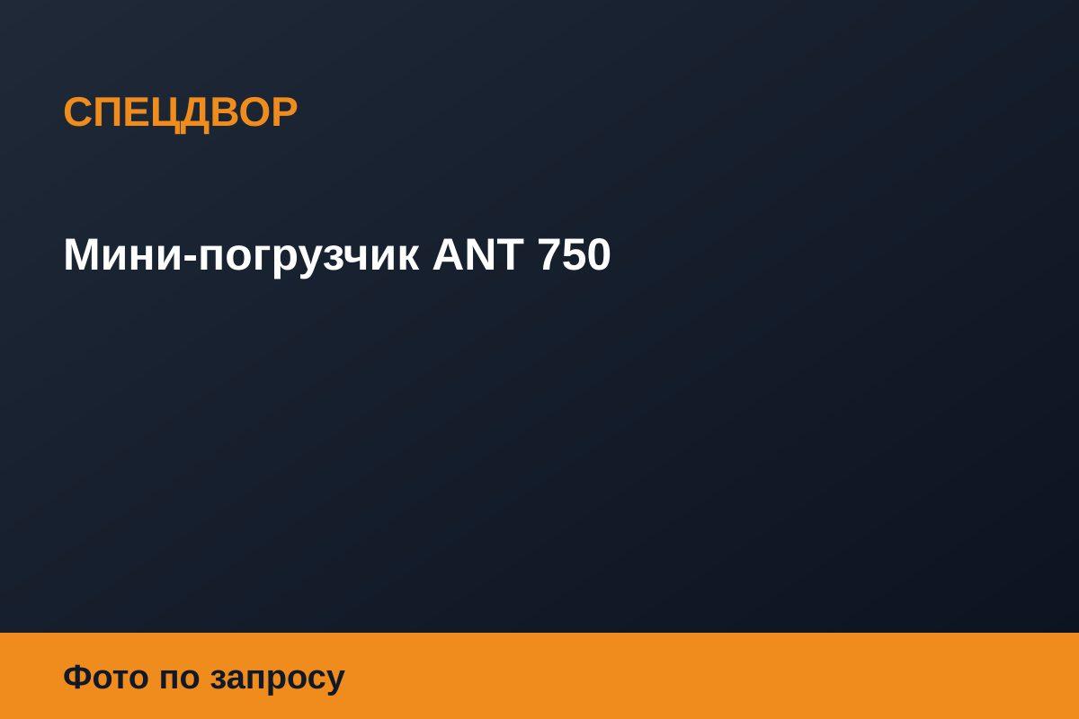 Мини-погрузчик ANT 750